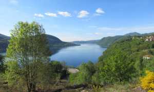 IMG 5777