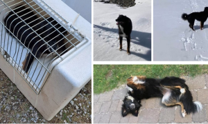 Schermata 2024 10 05 alle 15.58.11