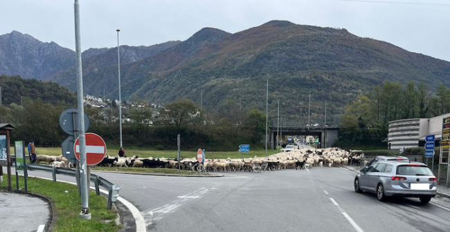 Schermata 2024 10 19 alle 13.40.22