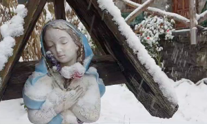 Schermata 2024 11 21 alle 14.04.39