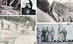 Schermata 2024 11 21 alle 16.31.51