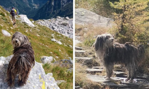 Schermata 2024 11 21 alle 16.35.01