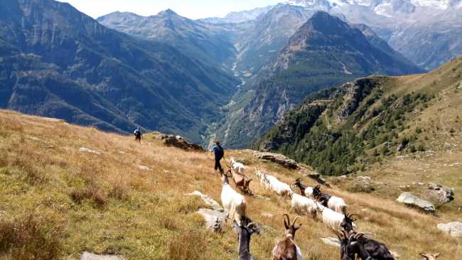 WhatsApp Image 2024 09 21 at 16.43.501