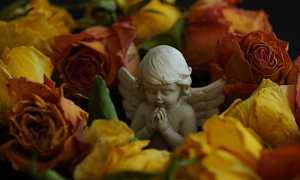 angel 8247102 640