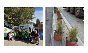 arona piantumaz nov 24