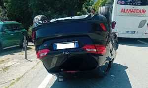 auto rib cann