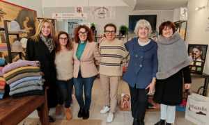 biella vetrine vive