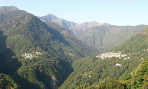 cannobina