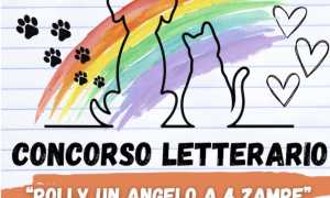 concorso astragalo polly