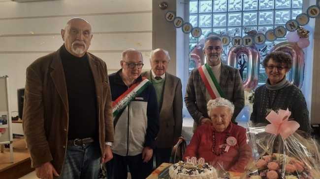 invorio 100 carolina