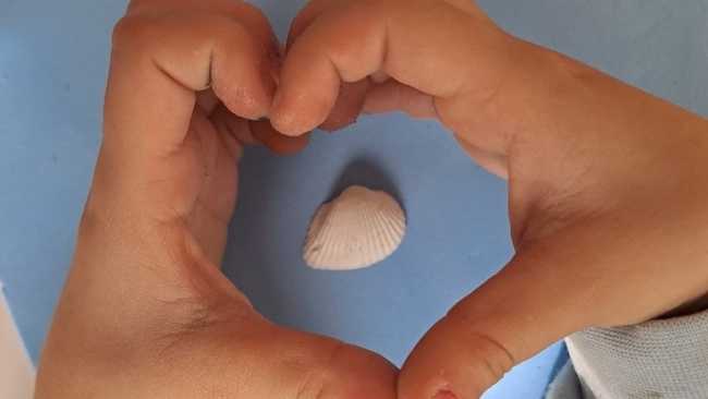 mani con conchiglia