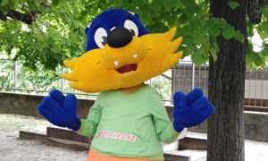 motty mottarone
