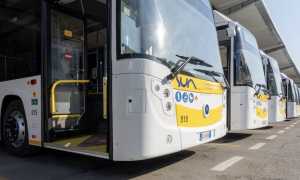 sun bus elettrici