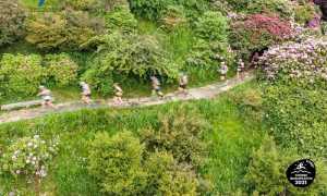 trail oasi zegna