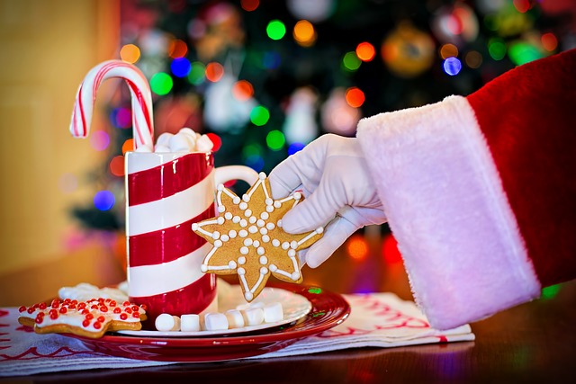 babbo natale mano biscotto