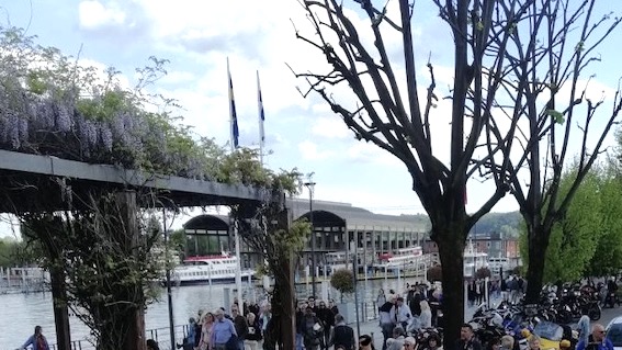 arona pasquetta