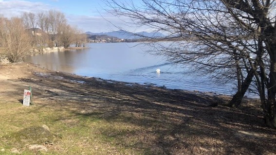 arona punta vevera