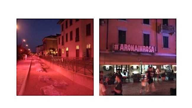 arona in rosa 2024