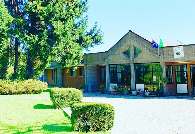 lesa istituto cavallini