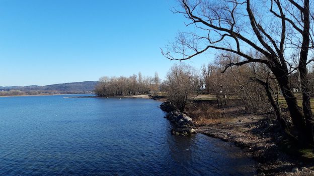 arona zona lido