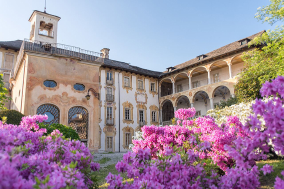 villa nigra