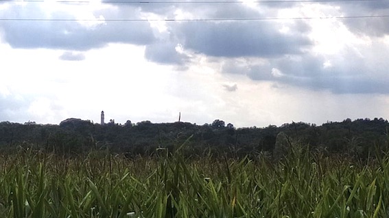 gattico vista