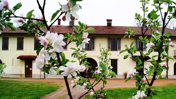 Fondazione Marazza primavera