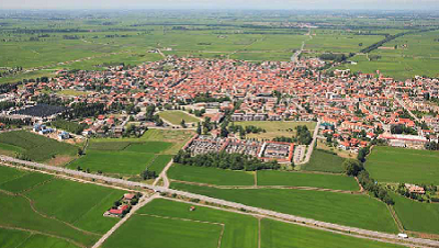 cerano