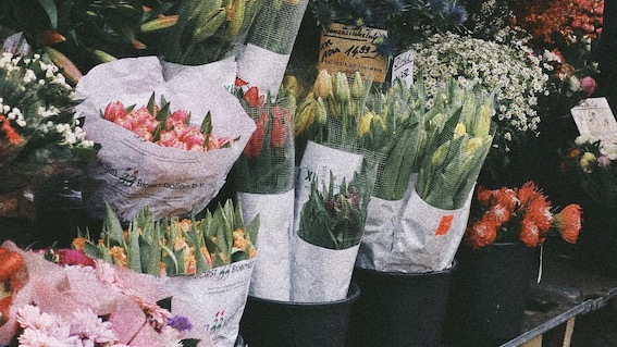 bancarella fiori
