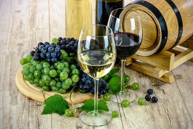 vini uva
