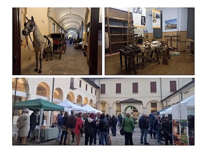 oleggio calici museo