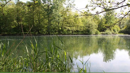 "Proteggiamo la natura con la cultura", eventi al Parco Ticino Lago Maggiore