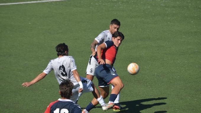 bule accademia ago 25