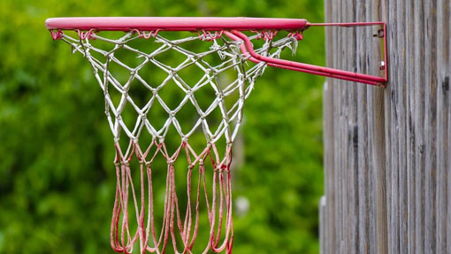cesto basket