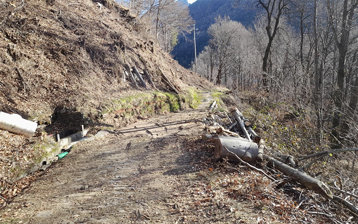 Screenshot 2025 01 01 alle 10.35.01