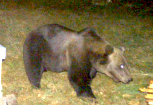 Schermata 2024 11 01 alle 12.50.44