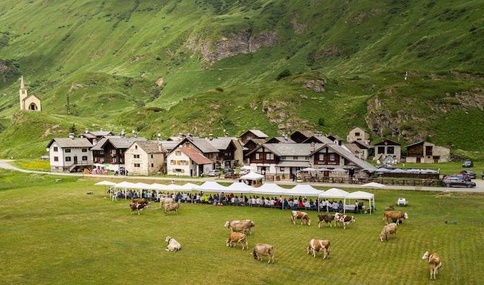 470200560 469643916152599 4965060661309323531 n