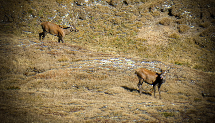 Screenshot 2025 11 02 alle 09.44.22