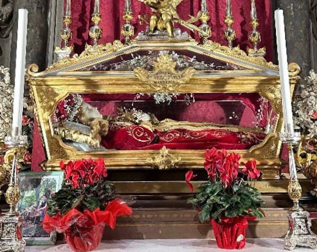 WhatsApp Image 2025 10 24 at 17.03.41