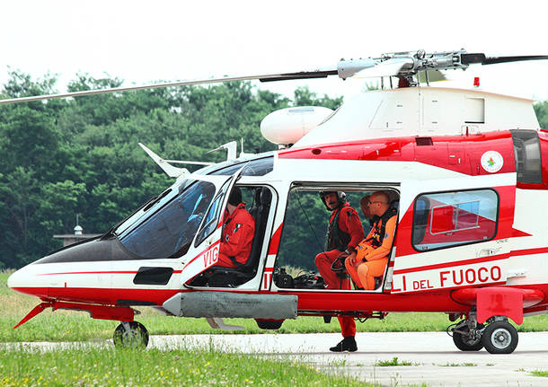 elic vdf