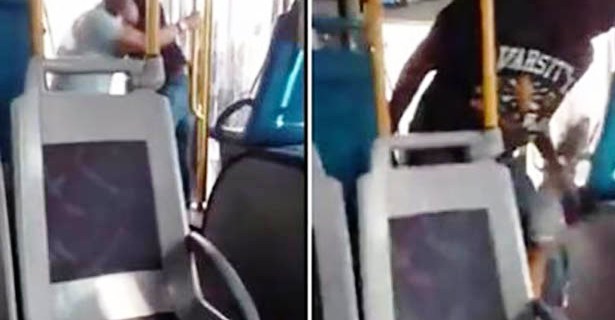 bus