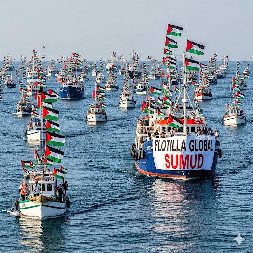 Anche un'attivista di Cannero fermata con la Global Sumud Flotilla